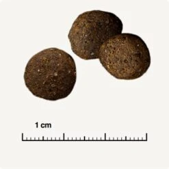 REAL NATURE WILDERNESS Desert Sands Kamel & Pferd 12 Kg 16 REAL NATURE WILDERNESS Desert Sands Kamel & Pferd 12 Kg -Deutschland Hund Trockenfutter Verkaufs-Shop e593299b652dffebc36cd625a372440b9780dd80 1297079 de DE 6