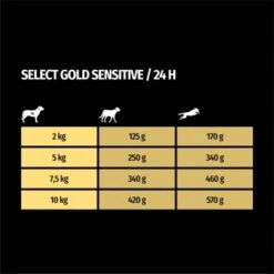 SELECT GOLD Sensitive Adult Huhn & Reis 10x125 G -Deutschland Hund Trockenfutter Verkaufs-Shop ef73115722de6bc8463a881b93f1551e3458a1d3 1246276 de DE 7