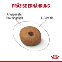ROYAL CANIN Light Weight Care Medium 12 Kg -Deutschland Hund Trockenfutter Verkaufs-Shop f3d4c8d3454d4747db3d91115077bb58b003229f 1376169 de DE asa 6