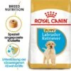 ROYAL CANIN Labrador Retriever Puppy 12 Kg -Deutschland Hund Trockenfutter Verkaufs-Shop f3ebfaf4819b636721b478daecb69184a7064553 1002892005 de DE labbypupppy