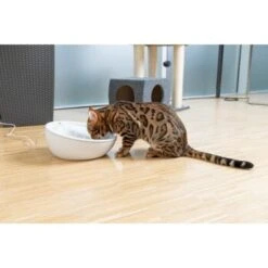 AniOne Keramik-Trinkbrunnen Waterfall Weiß Ohne Ersatzfilter -Deutschland Hund Trockenfutter Verkaufs-Shop f5666e2f535275128e81462f19991e450c3d3f87 c66954489332ac4ff326811e24559ef9b2854fac