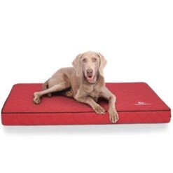 Knuffelwuff Orthopädische Hundematte Juna Aus Laser-gestepptem Kunstleder Rot L -Deutschland Hund Trockenfutter Verkaufs-Shop f8b9acde67bbc991a3791bba8cbd6c17097f2504 1411845 de DE 72b49e96d0fc008afacc20cc3236e69e758dd290NyBtW7