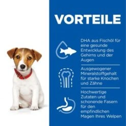Hill's Science Plan Small & Miniature Puppy Mit Huhn 3 Kg -Deutschland Hund Trockenfutter Verkaufs-Shop f99e800bdba85688d025c611ec54227734f1645a 52742281704 4