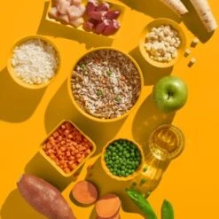 Fred & Felia FRED 10x390g Huhn Mit Reis -Deutschland Hund Trockenfutter Verkaufs-Shop fa3354d5d7e29f5e3115c7e325cceb743afafaab 1422051 de DE 7f006e1364cbbcd2f31ac4115d4fa7fef4504fe7YhzorV