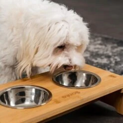 Lionto Erhöhte Futterstation Aus Bambus Braun/ Silber S -Deutschland Hund Trockenfutter Verkaufs-Shop ff2eba128a0d6b75a70cc824dc213b8dd85d734a 1665921 de DE e23b5a688ebe67bbe1f23e079b16083d61ef18cdlFh9kV