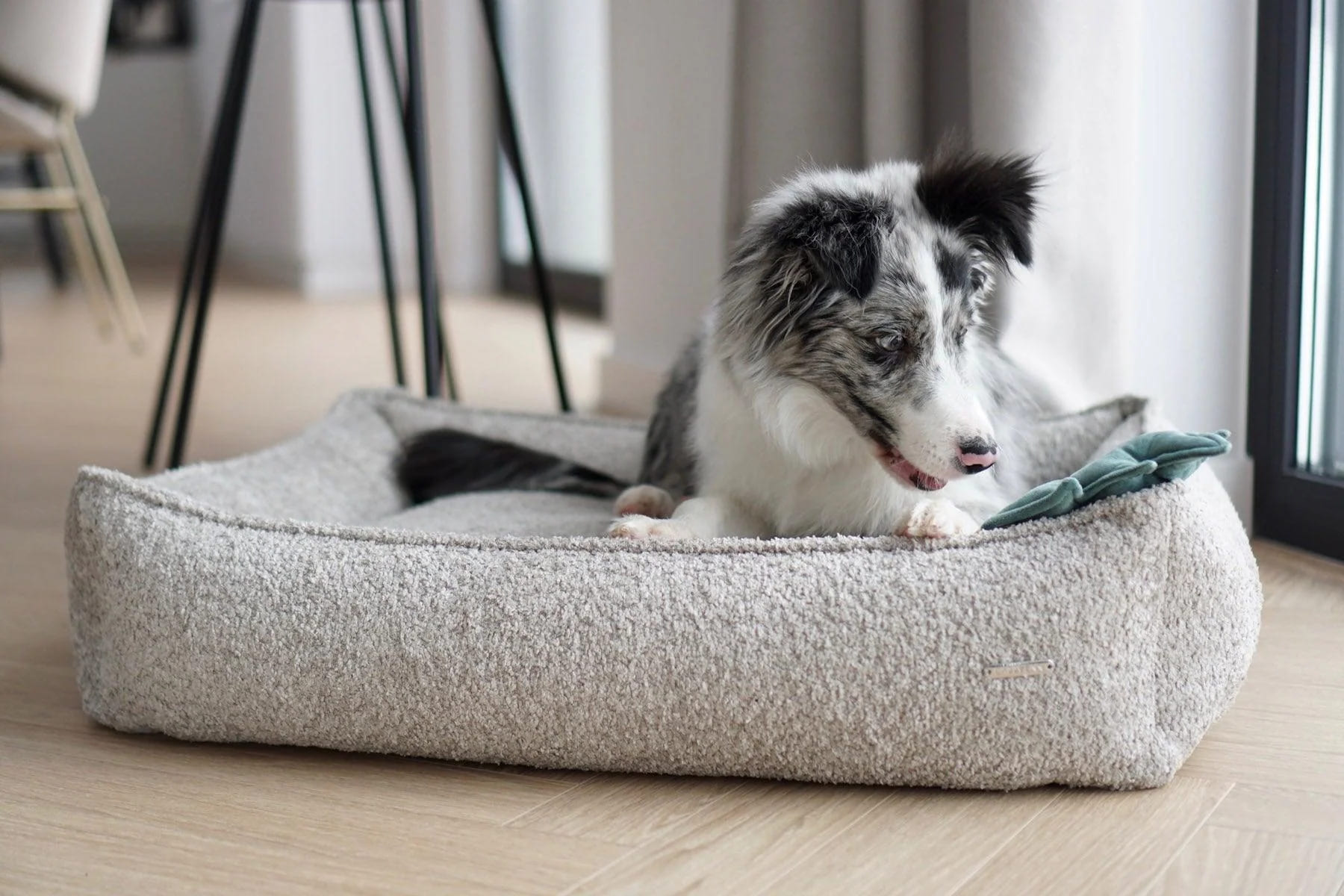 Deutschland Hund Trockenfutter Verkaufs-Shop -Deutschland Hund Trockenfutter Verkaufs-Shop GIUONG CHO CHO